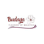 Budaya